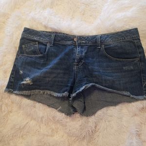 Size 13 American Rag Blue Jean Short Distressed, Hardly Worn